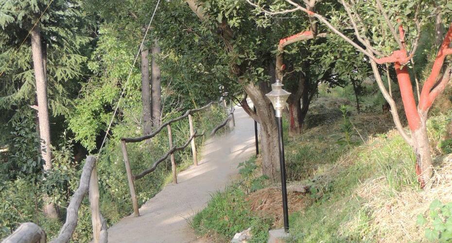 Apple Tree Cottage, Kotgarh, Shimla 5